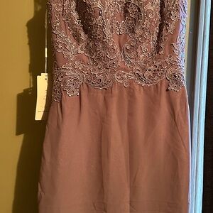 Embroidered Mauve Strapless Dress